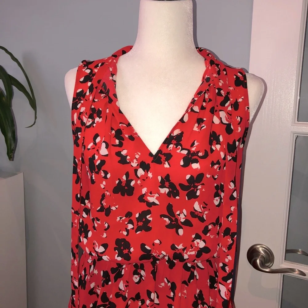 BR Dress - Picture 3 of 6